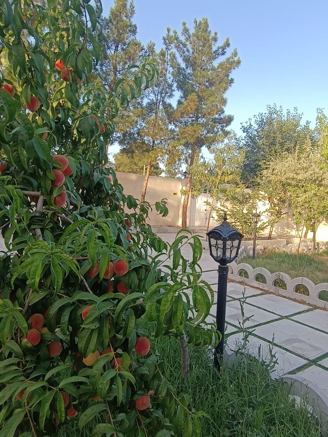 باغ ۱۰۰۰ متری در شهرک گلستان|فروش خانه و ویلا|مشهد, فردوسی|دیوار
