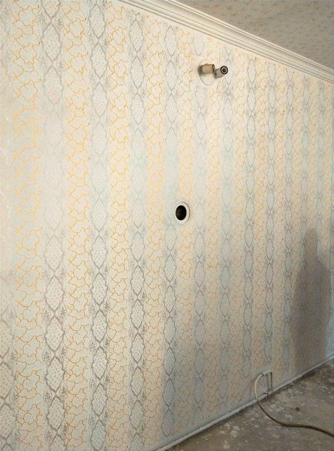 نقاشی ساختمان طرح کاغذ دیواری|خدمات پیشه و مهارت|مرند, |دیوار