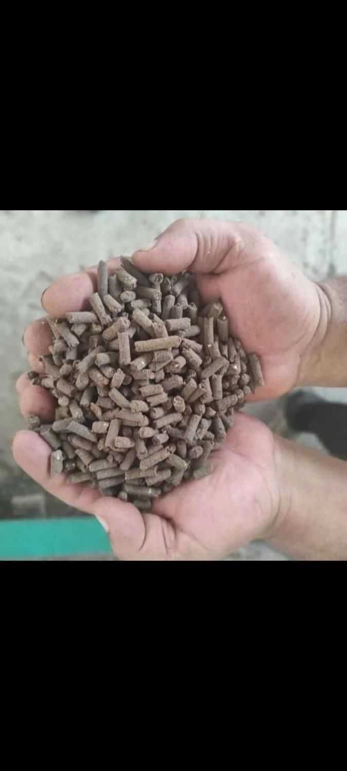 کود پلیت مرغی و گوگرد|لوازم جانبی حیوانات|زبرخان, |دیوار