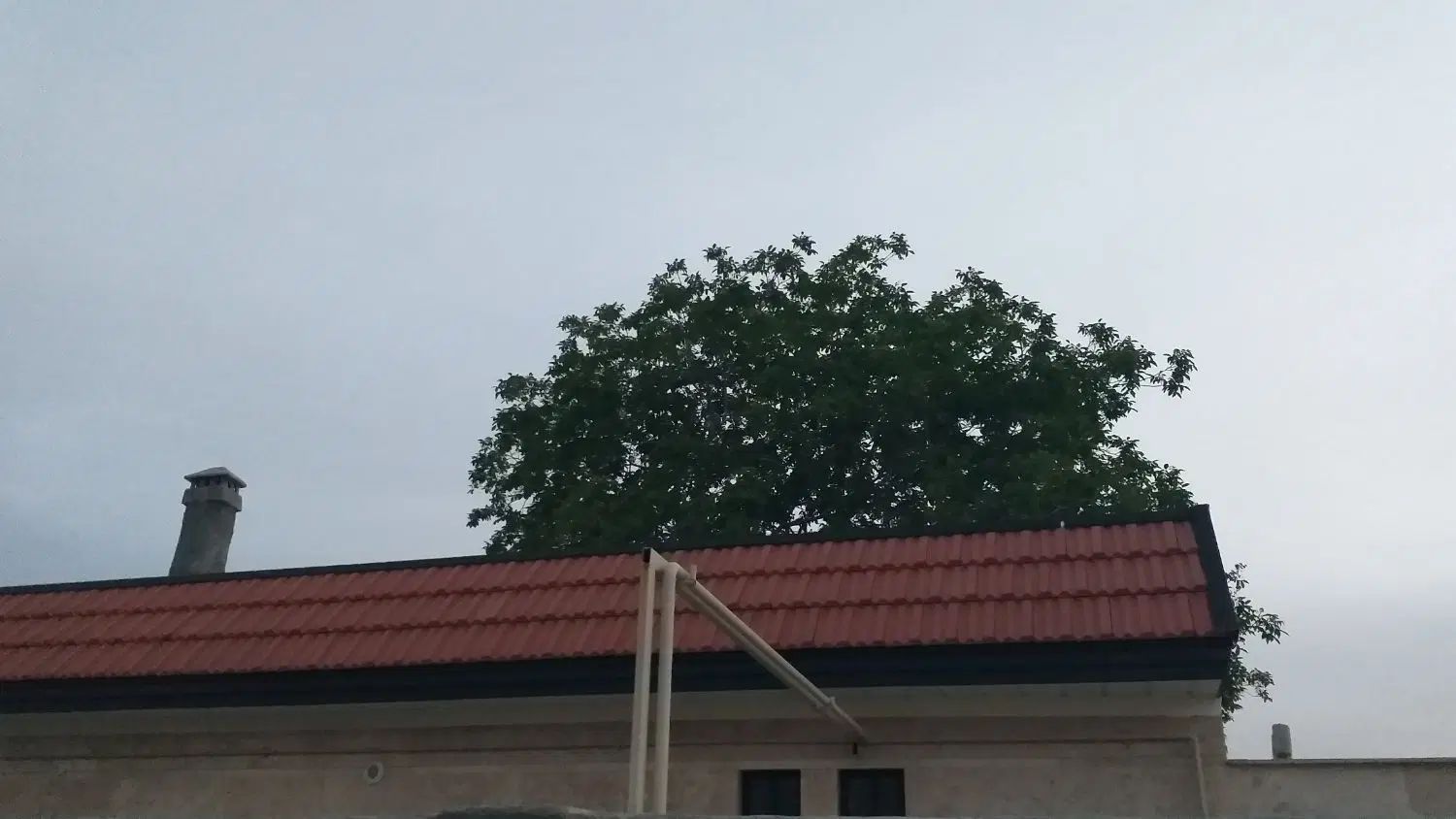 null