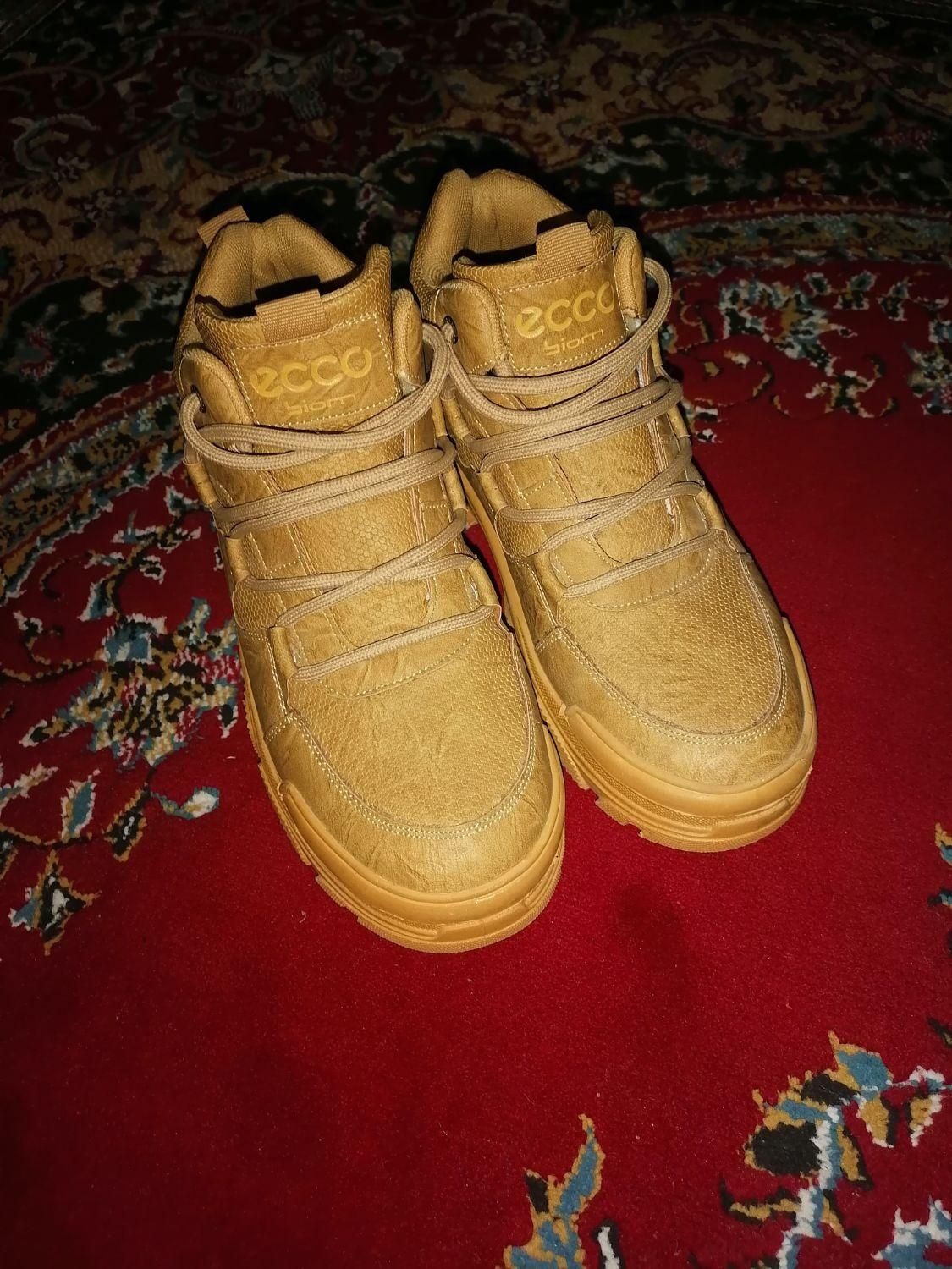 کفشeccoشماره41|کیف، کفش، کمربند|فسا, |دیوار