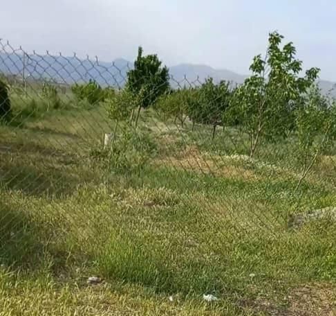 فروش باغ 1000 متری دورود لرستان|فروش زمین و ملک کلنگی|دورود, |دیوار