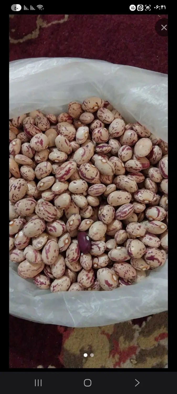 لوبیا ونخودتمیز|خوردنی و آشامیدنی|اصفهان, شیخ طوسی|دیوار