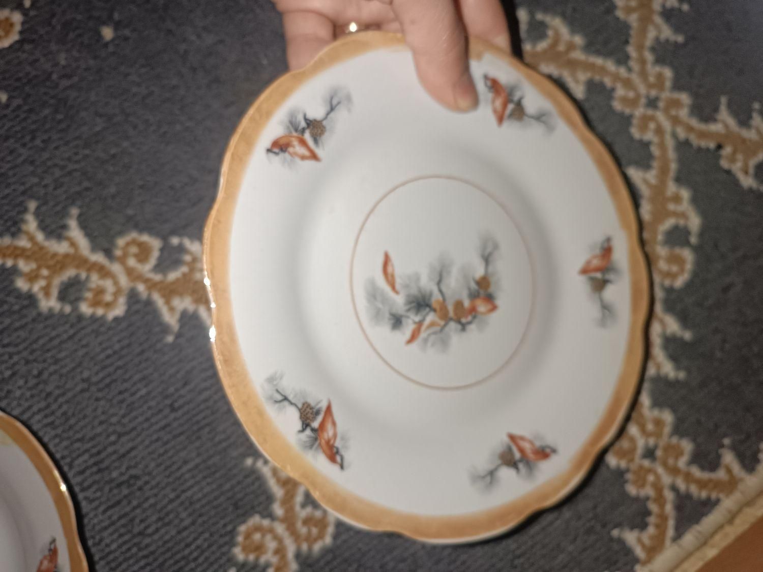 بشقاب چینی قدیمی|ظروف سرو و پذیرایی|فیروزآباد (فارس), |دیوار