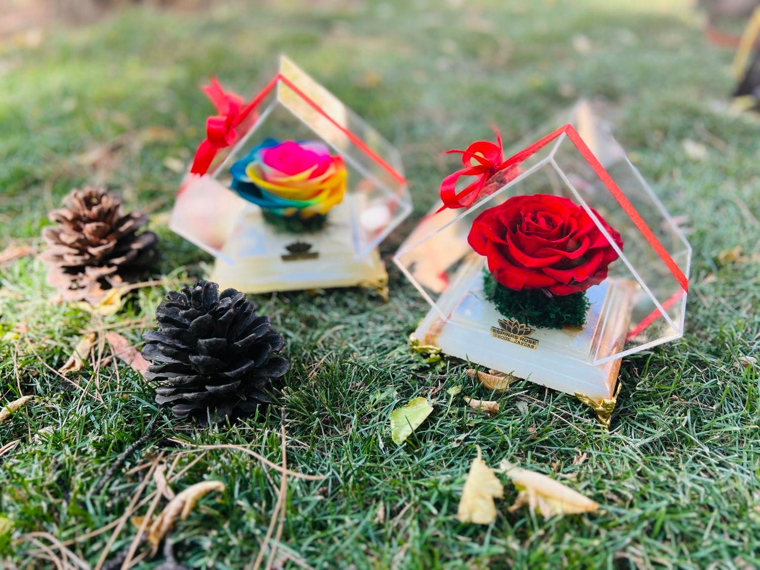 باکس گل رز جاودان سنگی با گل سایز بزرگ کد ۲۳|گل و گیاه طبیعی|تهران, میدان ولیعصر|دیوار