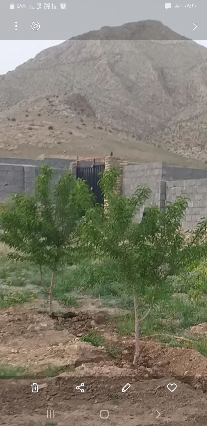 فروش باغ  ۲۰۰ و ۳۰۰ متری در شهرک خور هشتگرد|فروش زمین و ملک کلنگی|هشتگرد, خور|دیوار