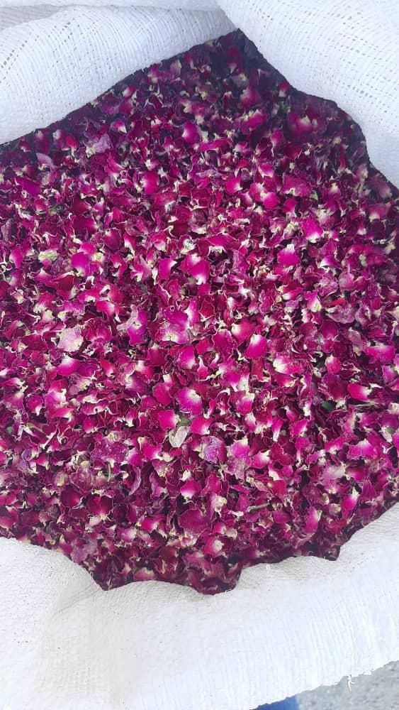 گلاب ،نعنا ،بیدمک|خوردنی و آشامیدنی|قمصر, |دیوار