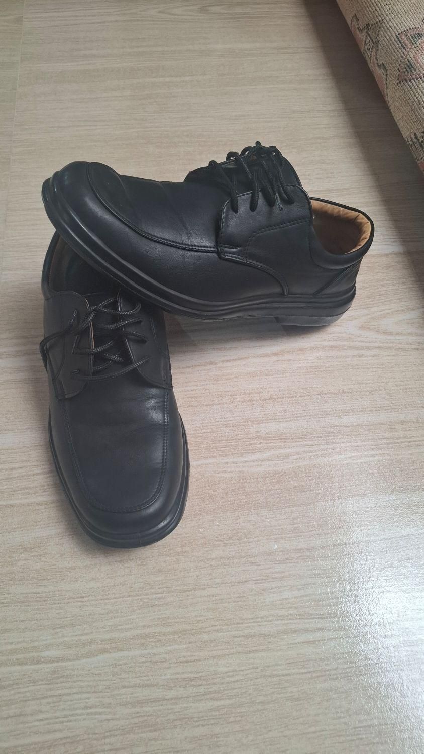 کفش|کیف، کفش، کمربند|سرپل ذهاب, |دیوار