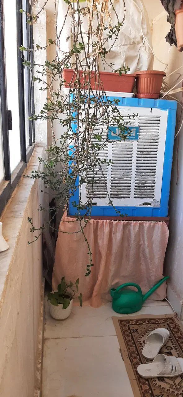 اپارتمان گلبهار نوساز/ سندعرصه/پارکینگ اختصاصی|فروش آپارتمان|مشهد, شاهد (شهرک غرب)|دیوار