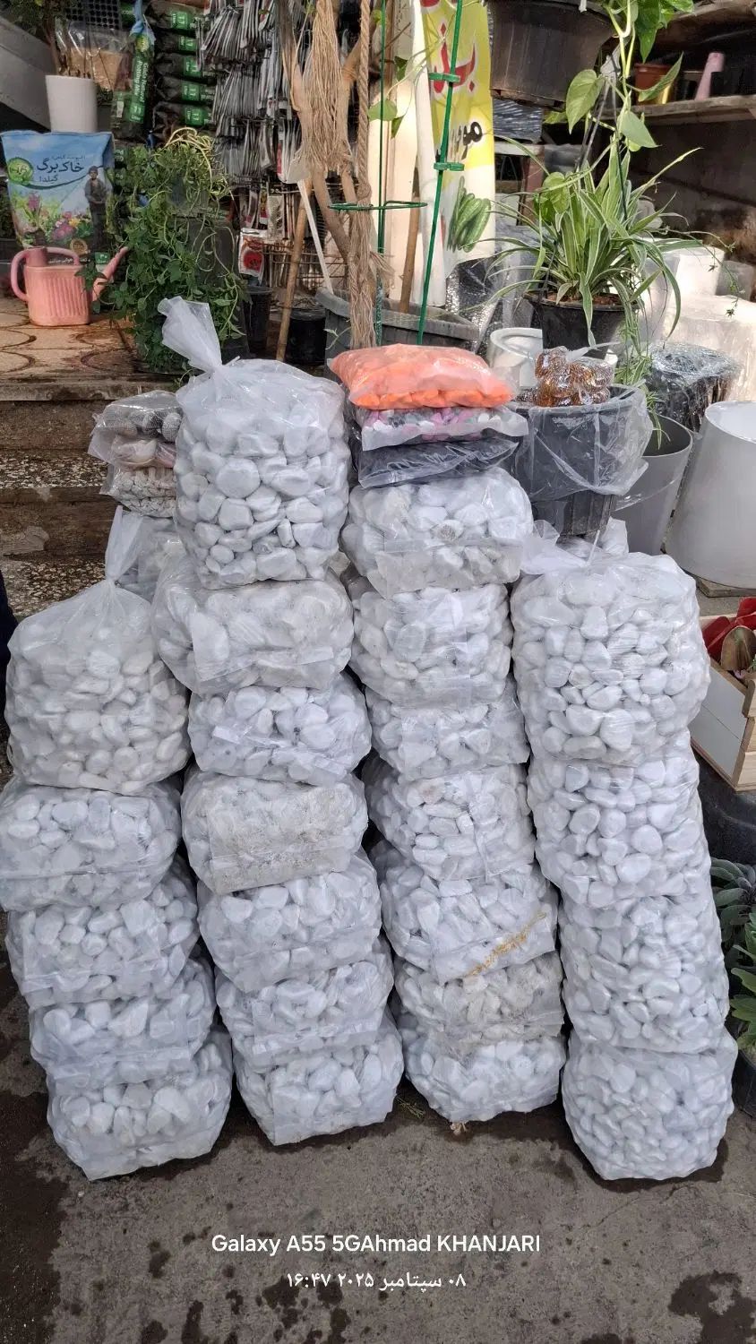 باغبانی درب منزل رسیدگی به باغچه وگلدون آپارتمانی|خدمات باغبانی و درختکاری|تهران, شهرک غرب|دیوار