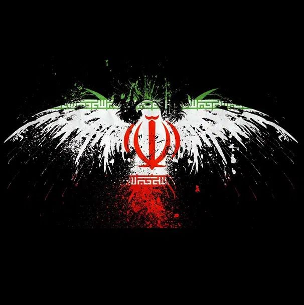 برنامه نویس و طراح سایت حرفه ای|خدمات رایانه‌ای و موبایل|تبریز, |دیوار