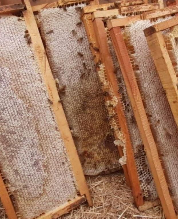 شان اصل قاب طبیعی|خوردنی و آشامیدنی|سبزوار, نواب صفوی|دیوار