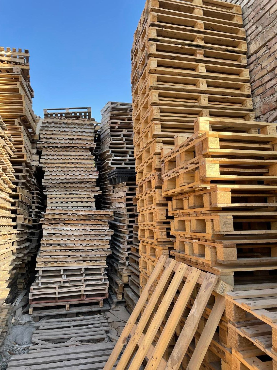 خرید و فروش پالت چوبی|عمدهفروشی|کرج, بهشت سکینه|دیوار