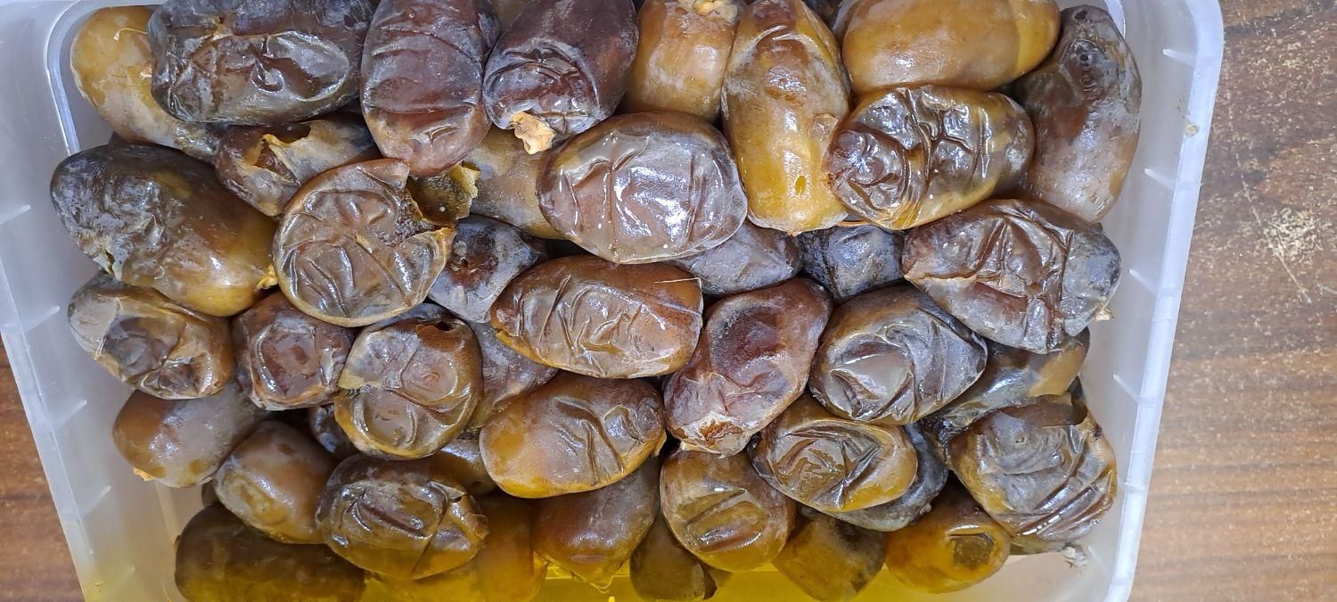 خرمای عسلی خشت درجه یک تازه و نرم|خوردنی و آشامیدنی|قم, وادی السلام|دیوار