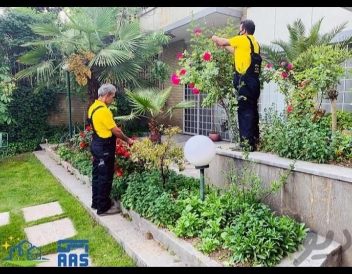 باغبانی هرسکاری سمپاش تعویض خاک گلدان باغچه کوددهی|خدمات باغبانی و درختکاری|تهران, نیروی هوایی (پیروزی)|دیوار