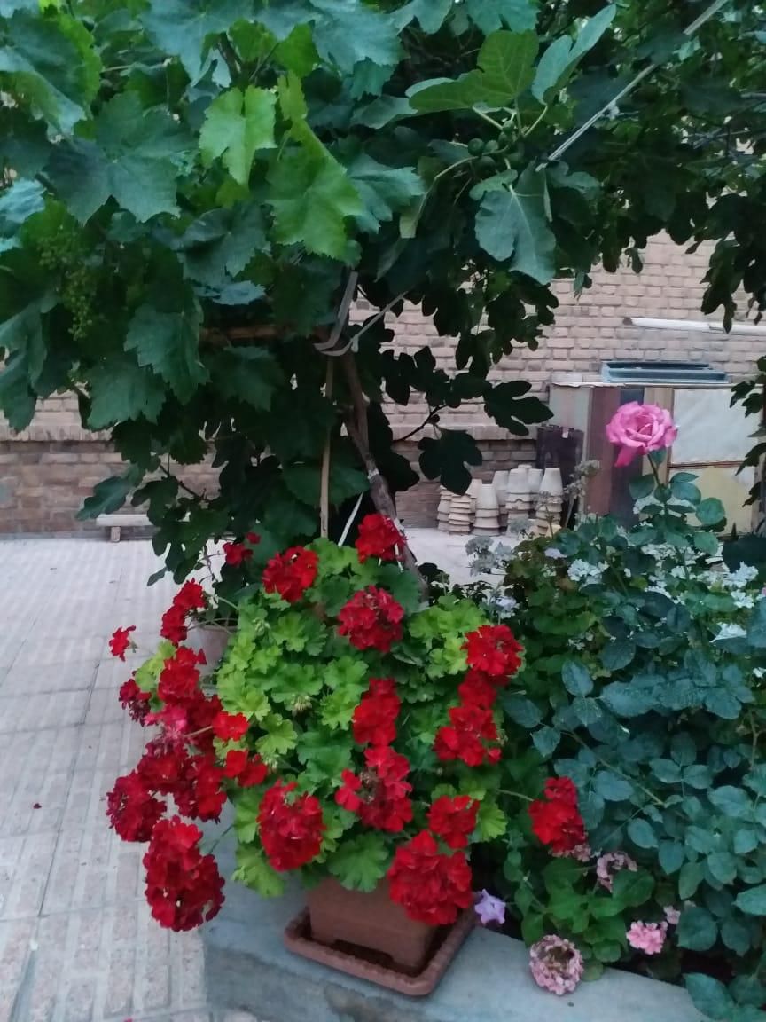 فروش واحد.منظریه.مهندسان|فروش آپارتمان|تبریز, |دیوار