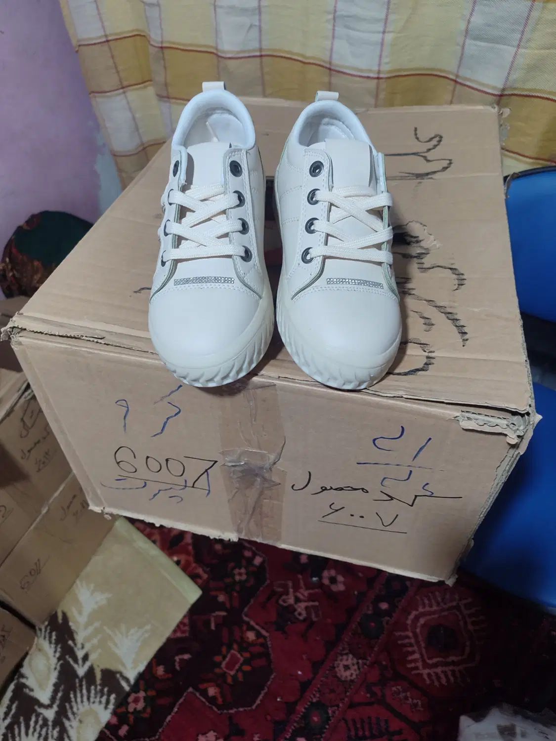 کفشهای کتانی دخترانه و پسرانه همه رنگ وهمه مدل|کیف، کفش، کمربند|بجنورد, |دیوار