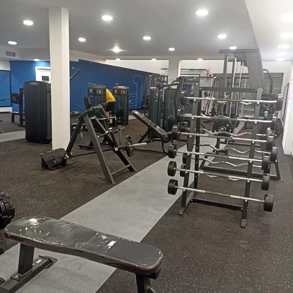 انواع کفپوش باشگاه گرانول رولی تاتمی کفی لاستیکی|تجهیزات ورزشی|شیراز, بازار|دیوار