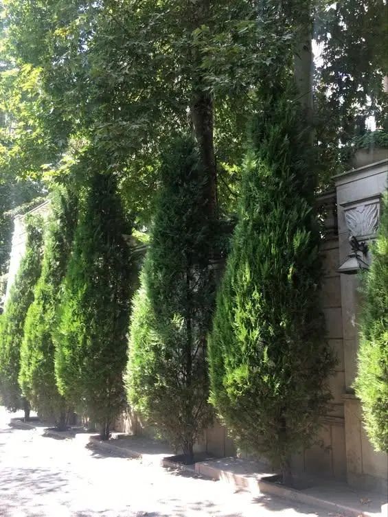 200 متر 4 خوابه نیاوران/فرمانیه به قیمت رسیده|فروش آپارتمان|تهران, جماران (نیاوران)|دیوار