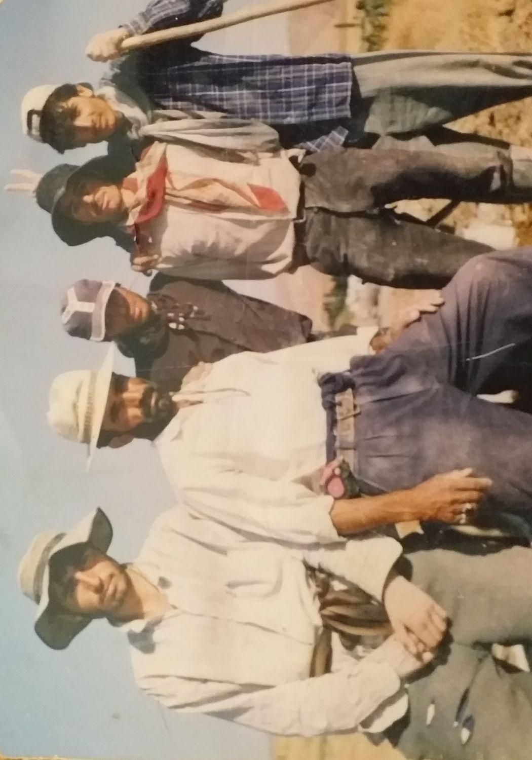 بنای سفت کار با سابقه ۳۰ سال کار|خدمات پیشه و مهارت|همدان, |دیوار