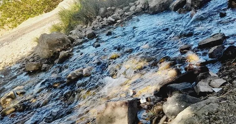 راهنمایی و مشاور زوج ها و انحرافات|فعالیت داوطلبانه تحقیقاتی|تهران, آجودانیه|دیوار