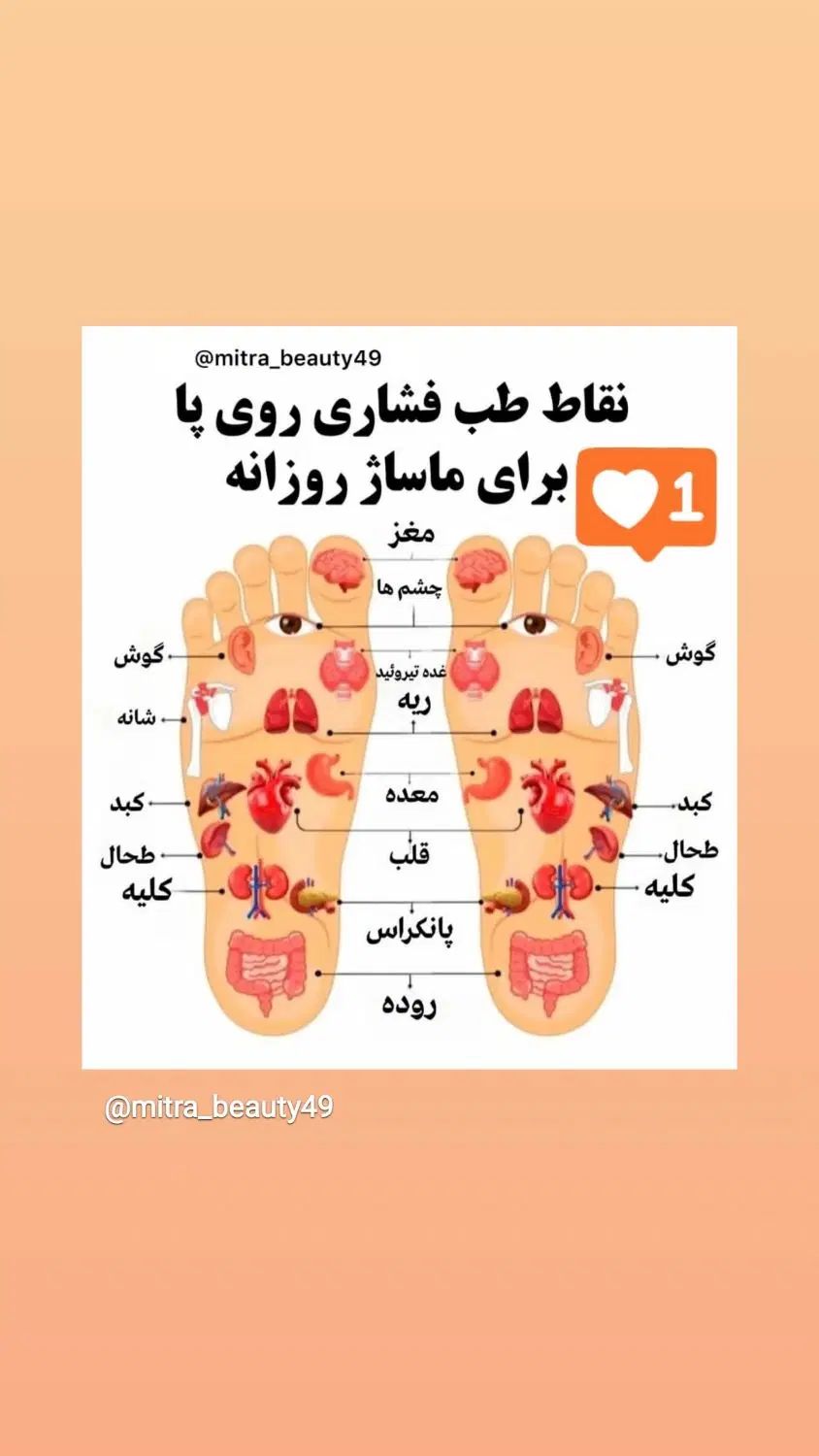 روغن ماساژ جهت .درمانی.ورزشی .ریلکسیشن ماساژ|آرایشی، بهداشتی، درمانی|نی‌ریز, |دیوار