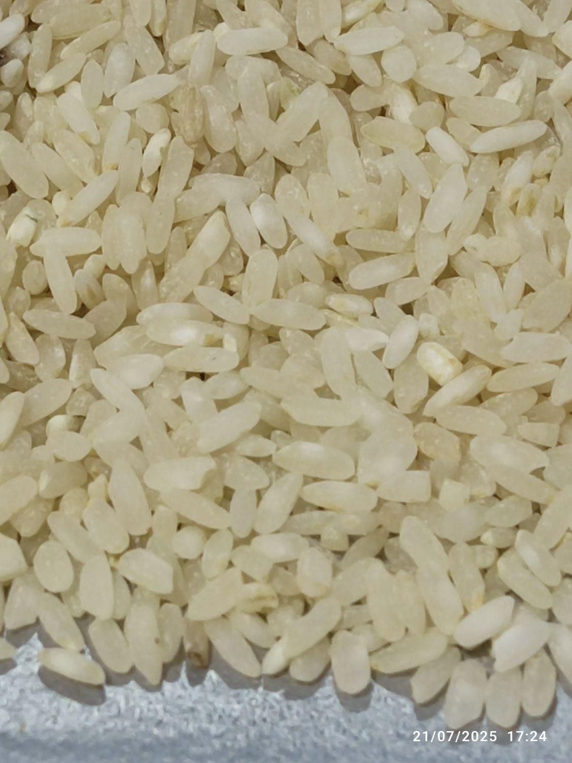 برنج دانه بلند و معطر لنجان|خوردنی و آشامیدنی|اصفهان, وحید|دیوار