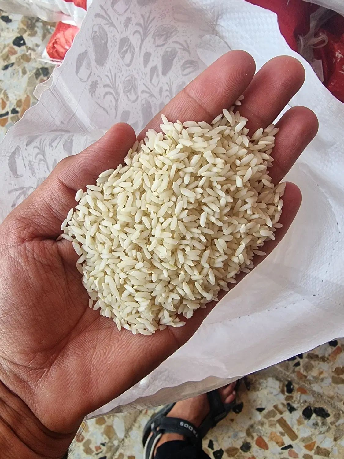 انواع مارک عنبربو محلی به شرط پخت و درجه یک|خوردنی و آشامیدنی|شوش, |دیوار