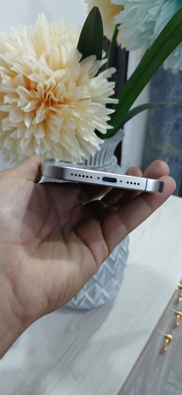 اپل iPhone 15 Pro Max با حافظهٔ ۲۵۶ گیگابایت|موبایل|بهبهان, |دیوار