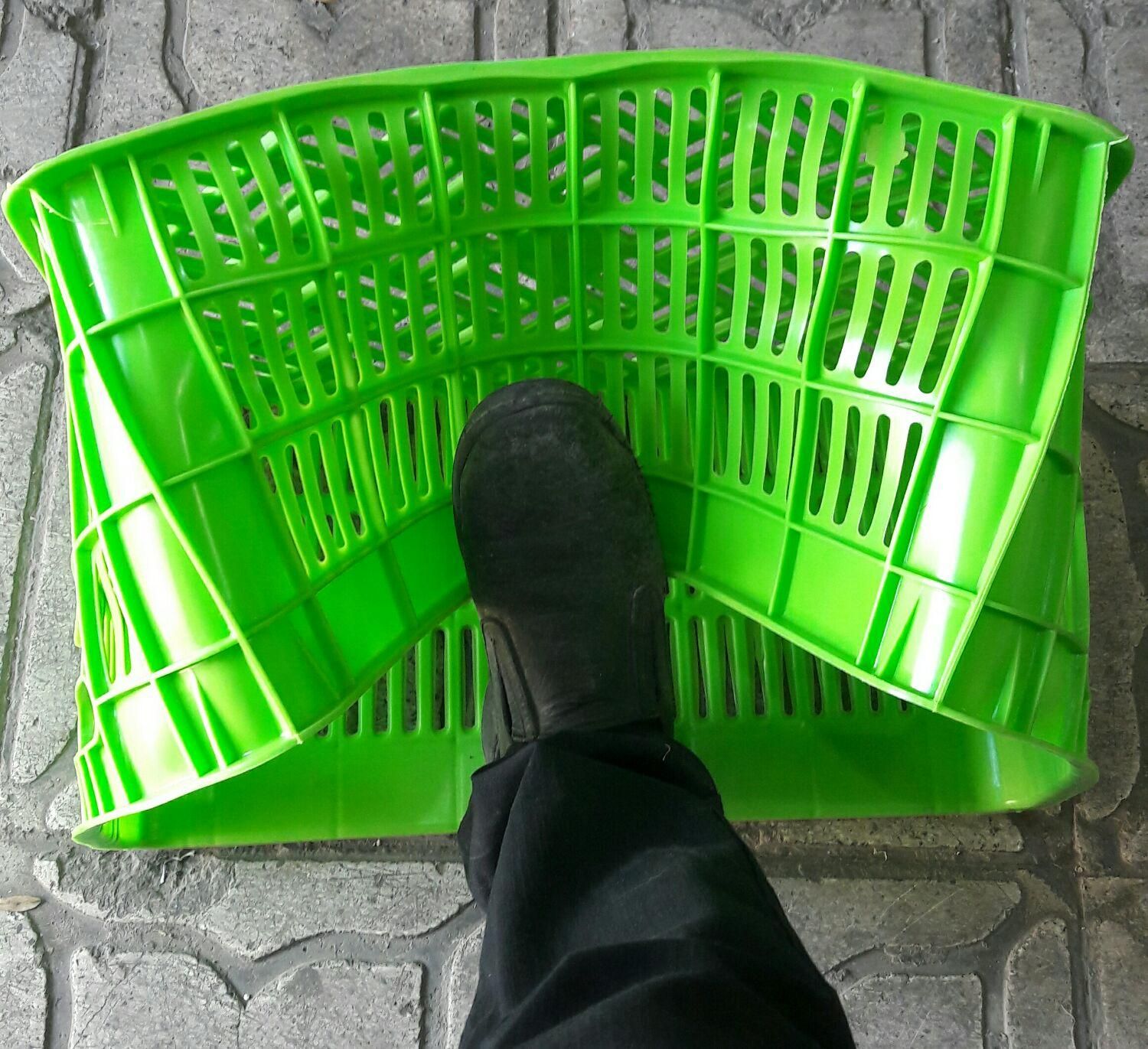 تولیدسبدخرماسبد میوه 20 و 25ک سبد میگوگلدان|عمدهفروشی|شیراز, وحدت|دیوار