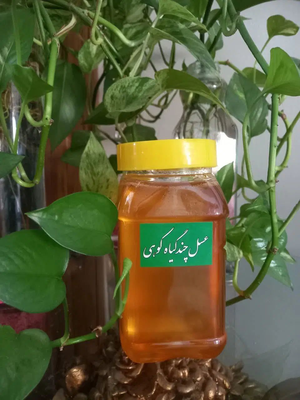 عسل طبیعی|خوردنی و آشامیدنی|مشهد, انقلاب|دیوار