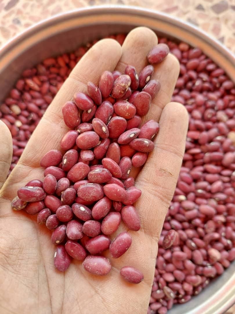فروش عمده حبوبات و ادویه جات و...|عمده‌فروشی|شیراز, شهرک گلستان|دیوار