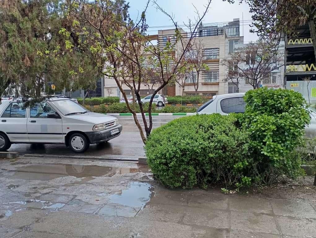 تصویر 5