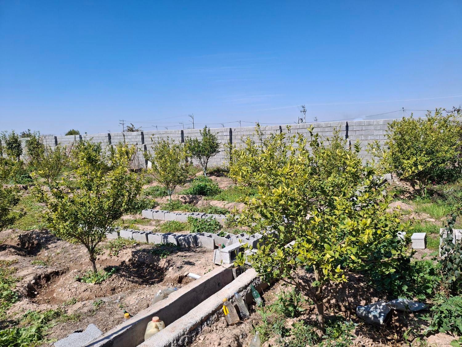 فروش باغچه ۱۰۰۰ متری|فروش خانه و ویلا|اندیمشک, |دیوار