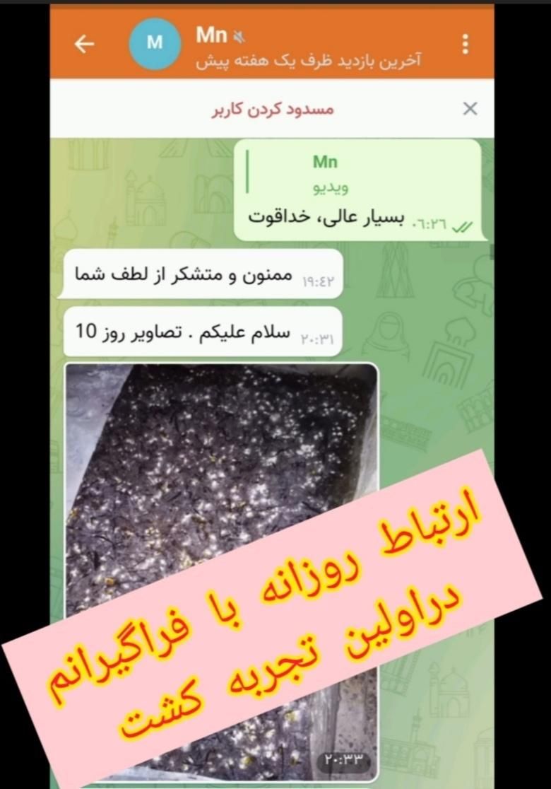 دوره پرورش قارچهای خوراکی با پشتیبانی فراگیر|خدمات آموزشی|نجف‌آباد, کشاورز|دیوار