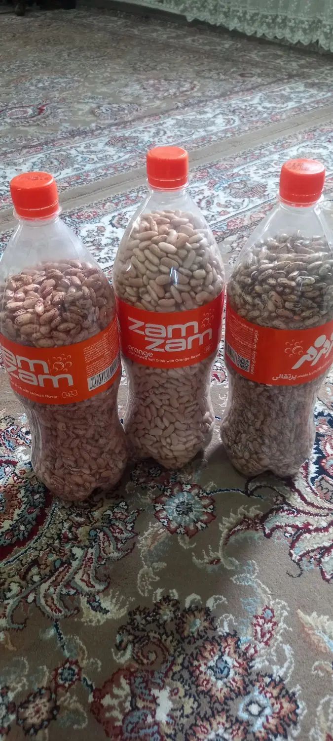 پاچ باقلا محلی تازه خشک شده درشت مخصوص کاشت|خوردنی و آشامیدنی|بندر انزلی, طالب آباد|دیوار