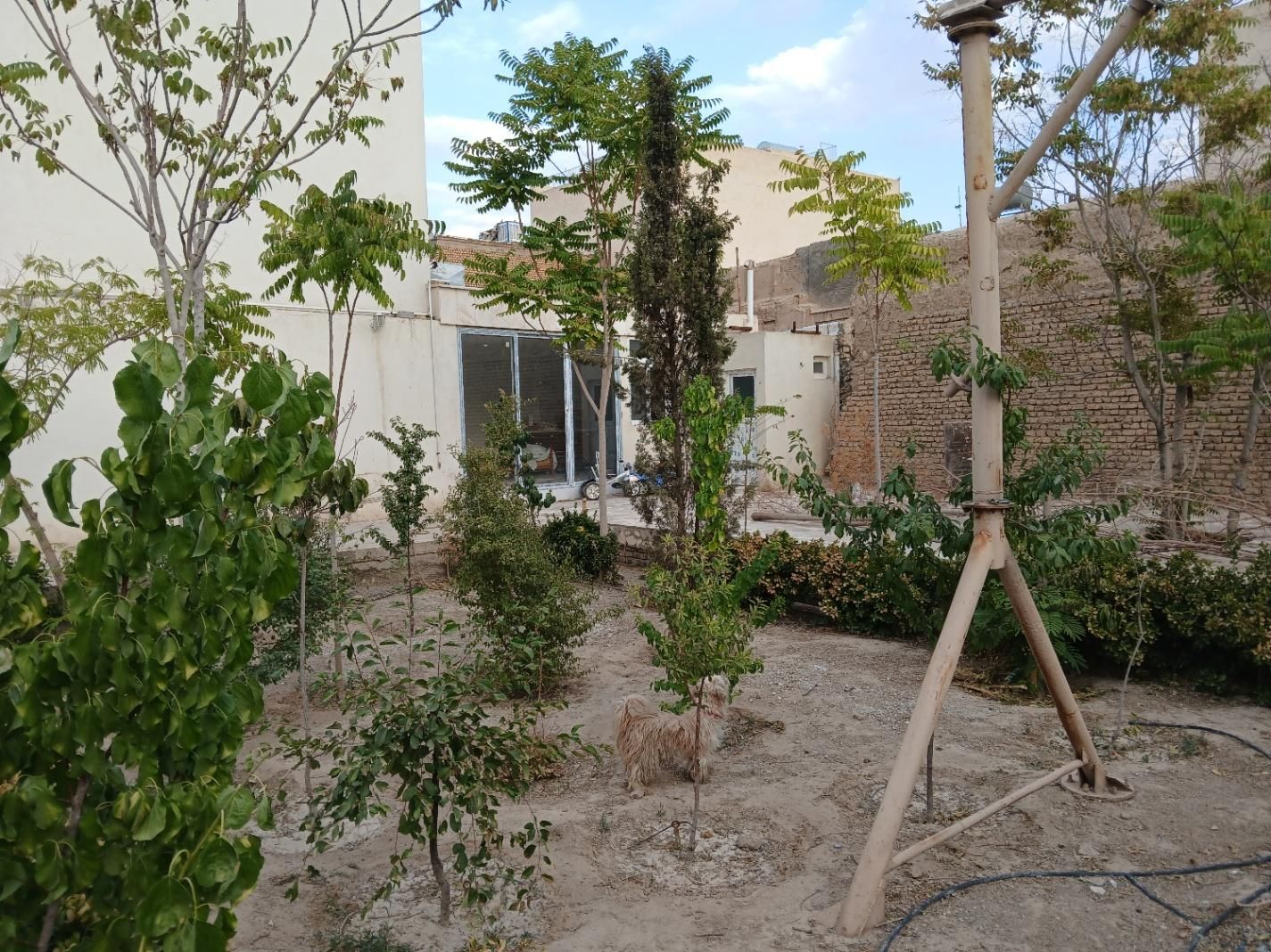 خانه باغ ۱۰۰۰ متری خیابان ولیعصر خواجه نظام الملک|فروش خانه و ویلا|اصفهان, امامزاده اسماعیل|دیوار
