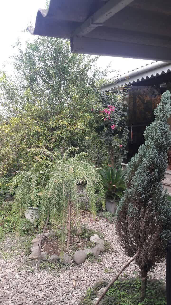 فروش خانه ویلایی در محوطه ۵۳۶ متری|فروش خانه و ویلا|کلاچای, |دیوار