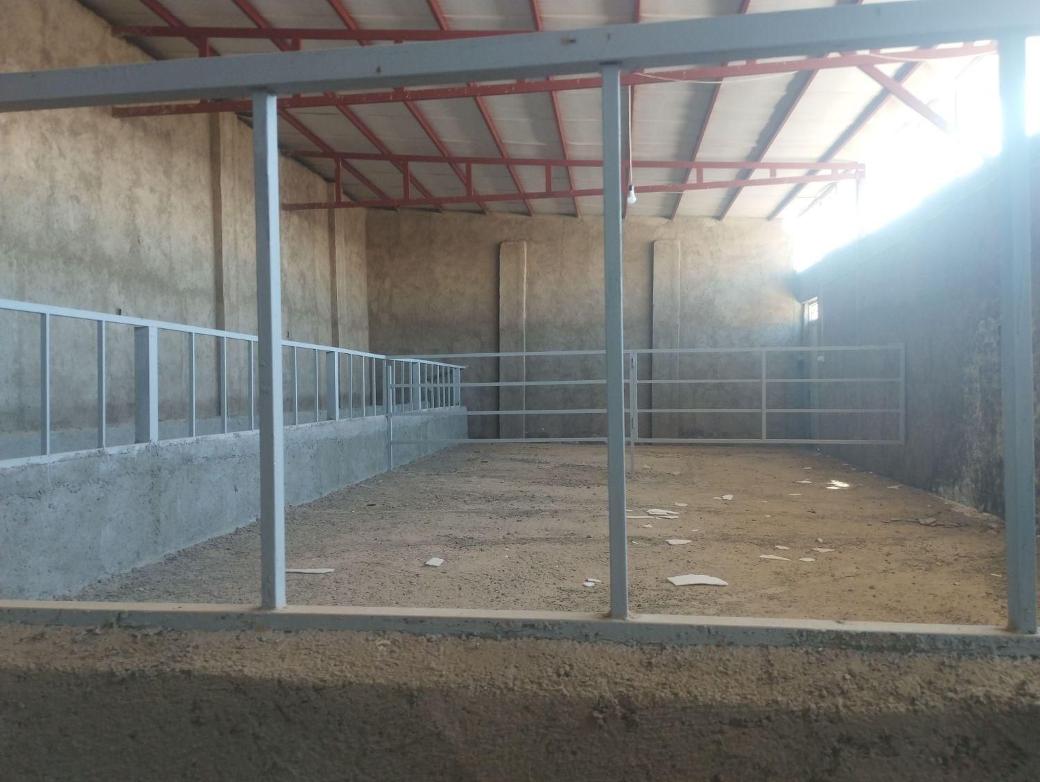 فروش گاوداری نوساز کلید نخورده|فروش دفتر صنعتی، کشاورزی، تجاری|خرمدره, |دیوار