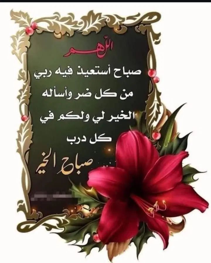 کاروان زیارتی سیاحتی ام بنین برای مشهدمقدس|تور و چارتر|اهواز, حصیرآباد|دیوار