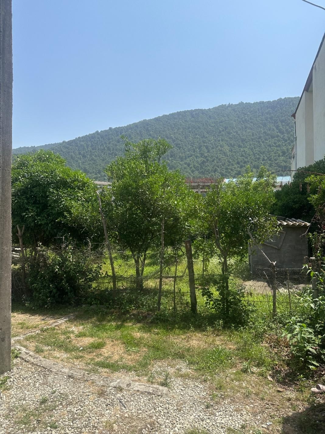 ویلا باغ ۸۰۰ متری نمک ابرود|فروش زمین و ملک کلنگی|هچیرود, |دیوار