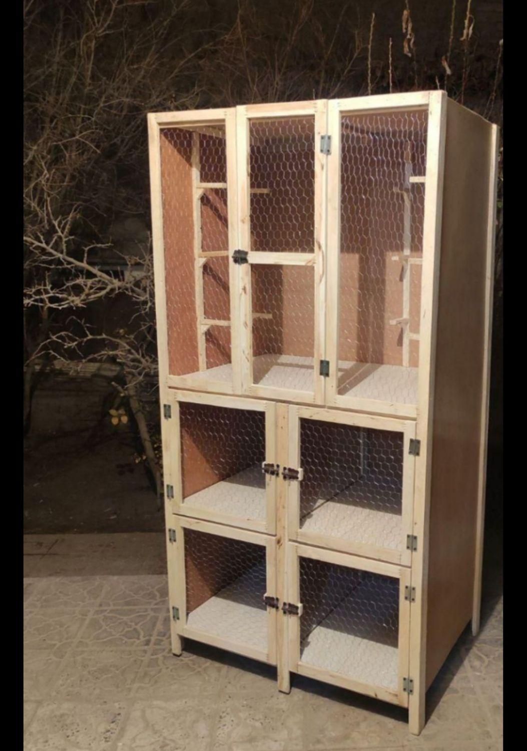 کبوتر روی میخ|پرنده|رفسنجان, |دیوار