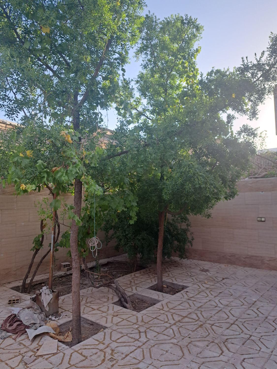 تصویر 9