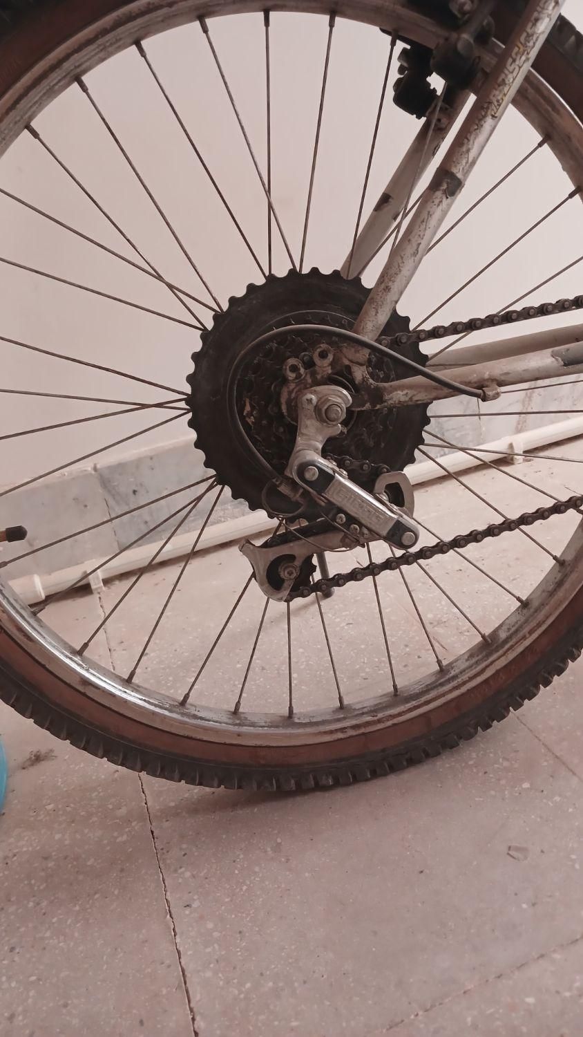 دوچرخه فروشی|دوچرخه، اسکیت، اسکوتر|کاشان, درب جوشقان|دیوار