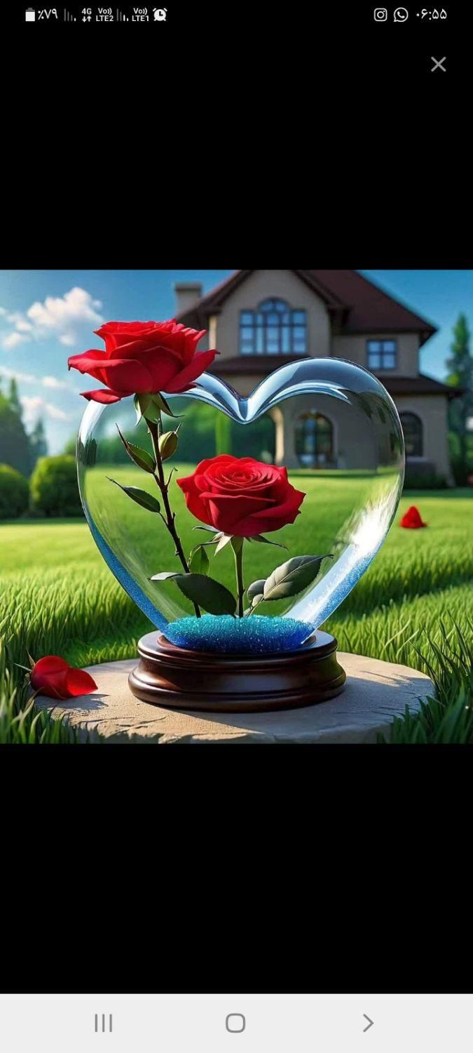 نظافت منزل و حیاط و راه پله|خدمات نظافت|آمل, |دیوار