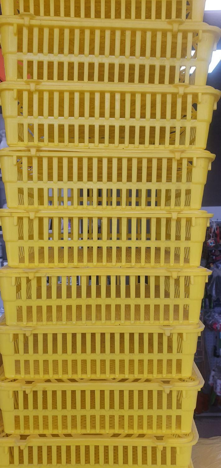 فروش دستگاه جوجه کشی و ملزومات|لوازم جانبی حیوانات|اردبیل, |دیوار