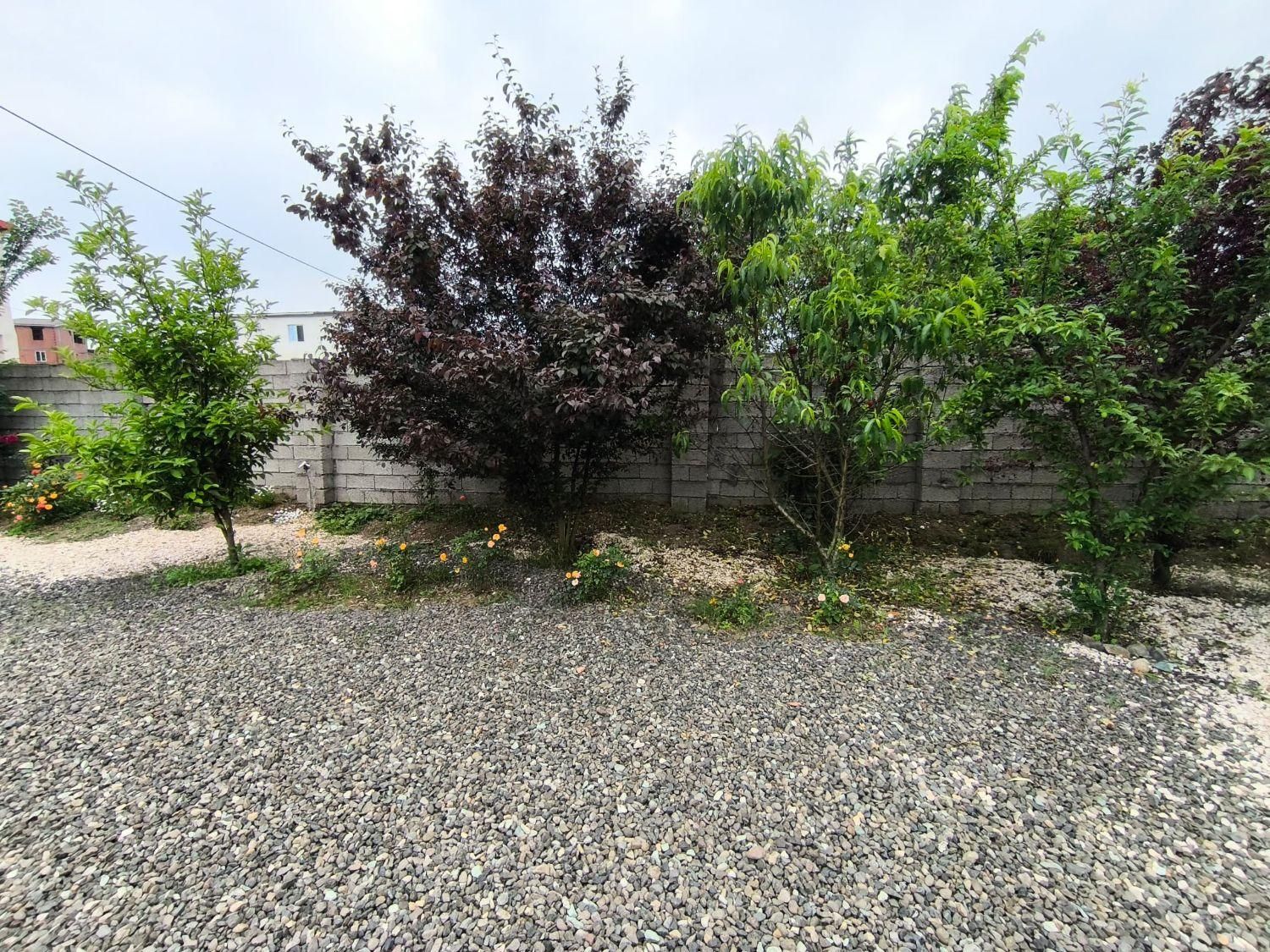 فروش زمین ۶۸۳ متری|فروش زمین و ملک کلنگی|آستارا, |دیوار