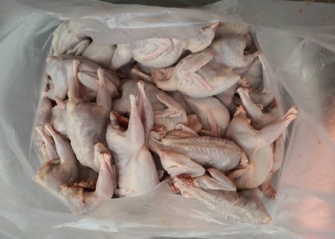 فروش بلدرچین کشتار روز (ارسال به سراسر شیراز )|خوردنی و آشامیدنی|شیراز, جانبازان|دیوار