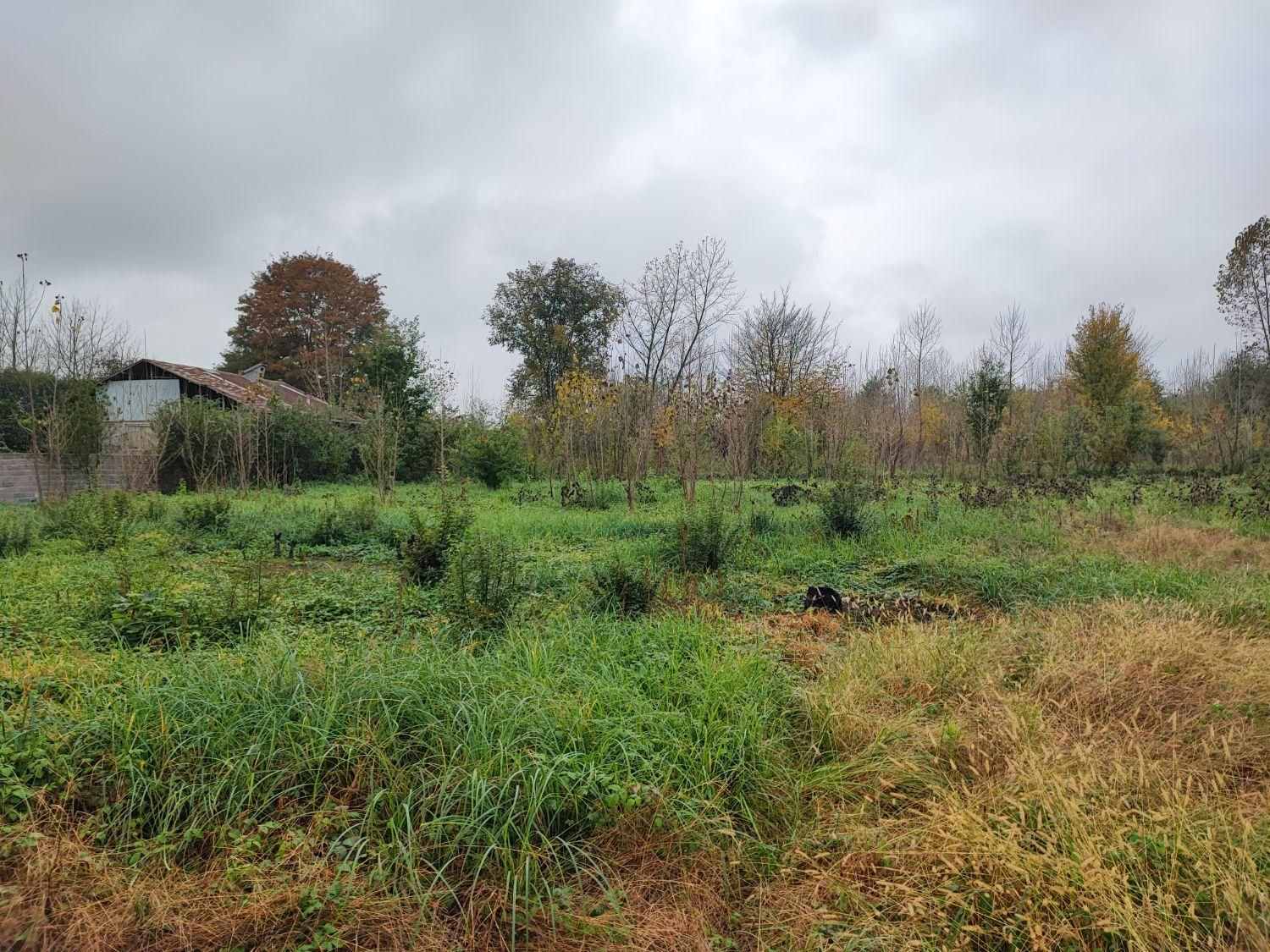 فروش زمین مسکونی سنددار در بلوار دیلمان لاهیجان|فروش زمین و ملک کلنگی|لاهیجان, بوجایه|دیوار