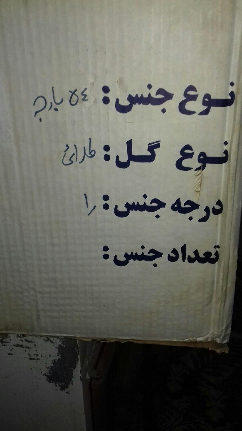 چینی اصل مرجان نو واکبند 54 پارچه|ظروف سرو و پذیرایی|تهران, دیلمان|دیوار